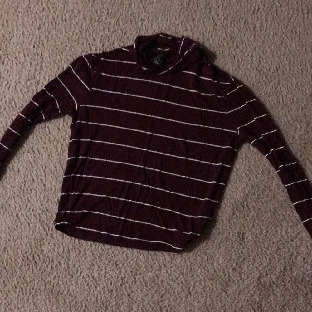 Long Sleeved Turtleneck Crop Top